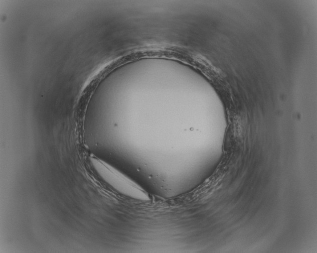 X0000074261208200609151753