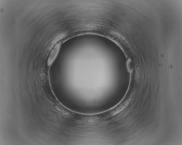 X0000074261210200609151753