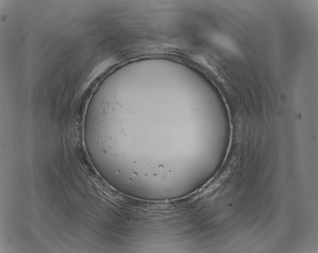 X0000074261211200609151753