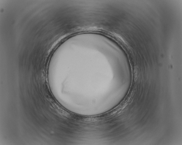 X0000074261212200609151753