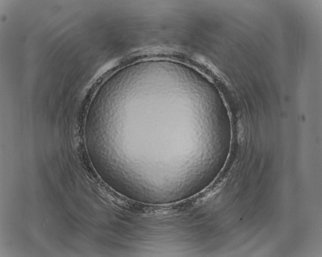 X0000074261213200609151753