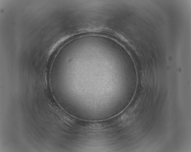 X0000074261214200609151753