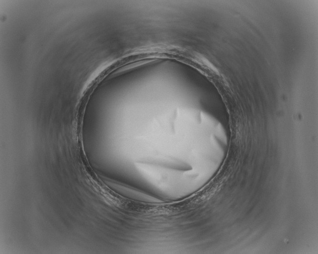 X0000074261216200609151753