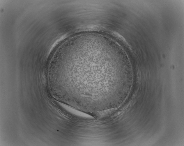 X0000074261218200609151753