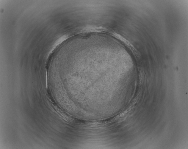 X0000074261219200609151753