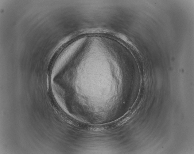 X0000074261221200609151753