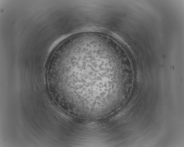 X0000074261222200609151753