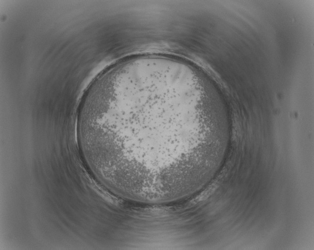 X0000074261224200609151753