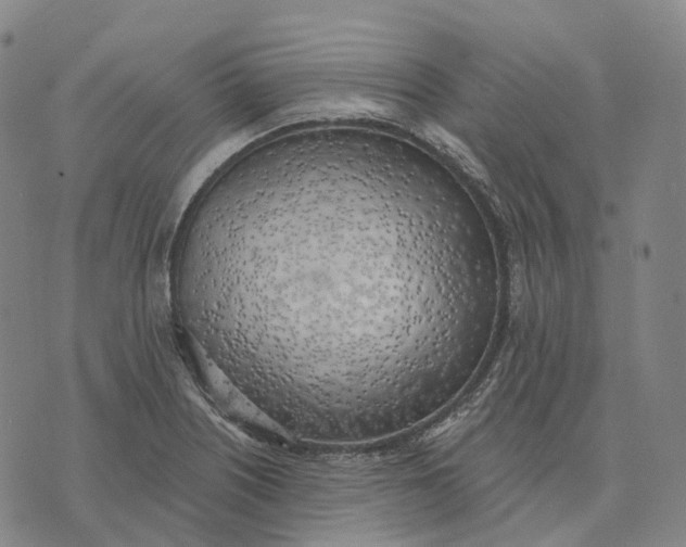 X0000074261226200609151753