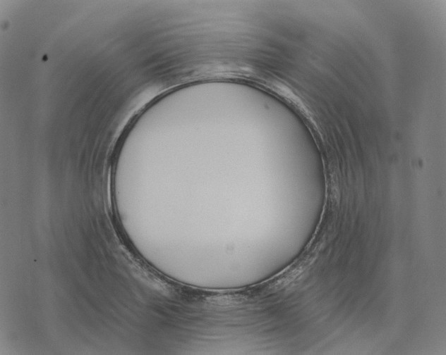 X0000074261227200609151753