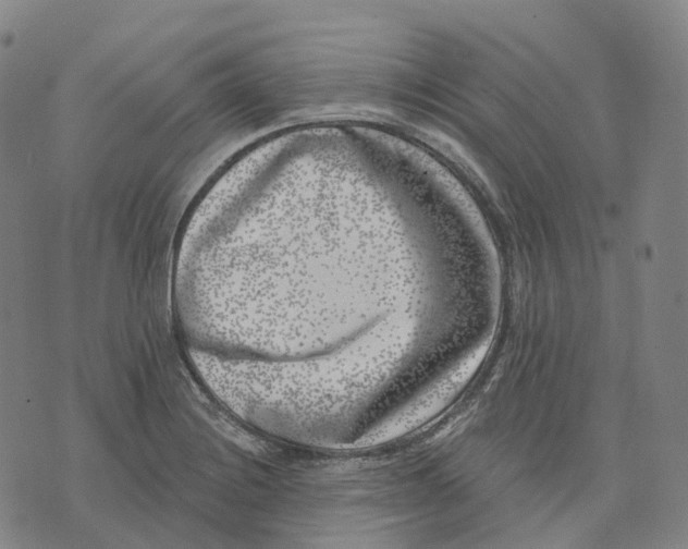 X0000074261228200609151753