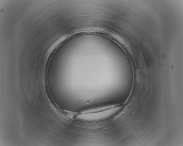 X0000074261229200609151753