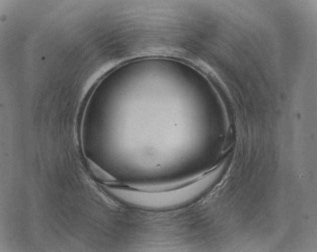 X0000074261230200609151753