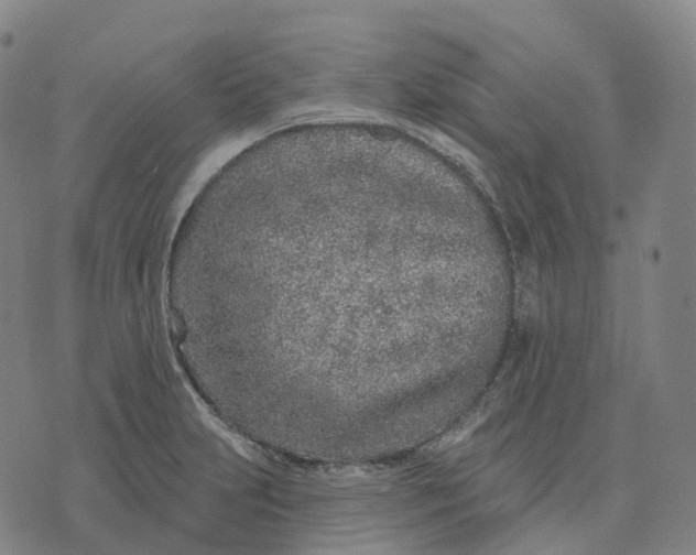 X0000074261231200609151753