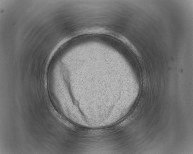 X0000074261232200609151753