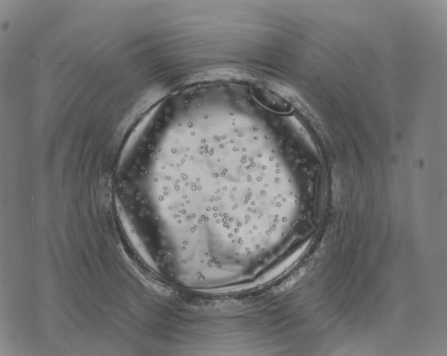 X0000074261233200609151753