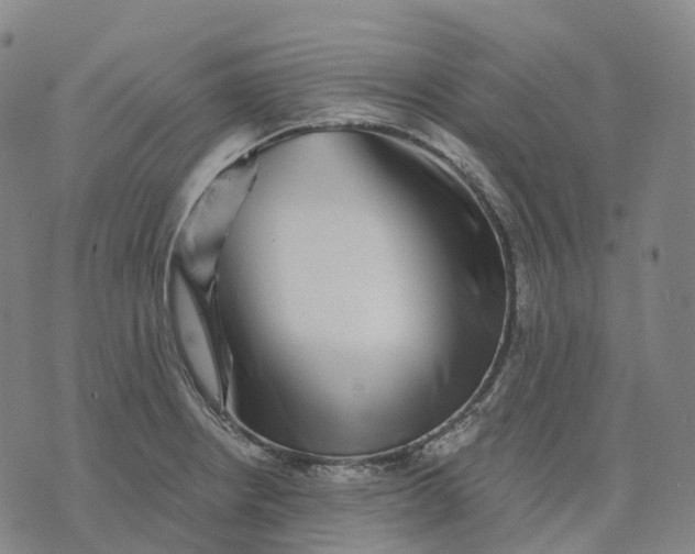 X0000074261234200609151753