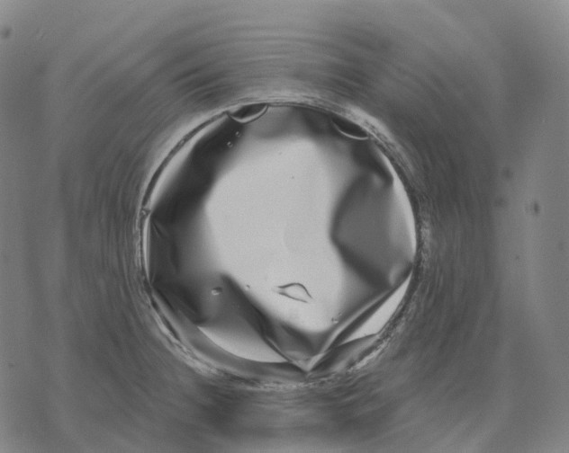 X0000074261236200609151753