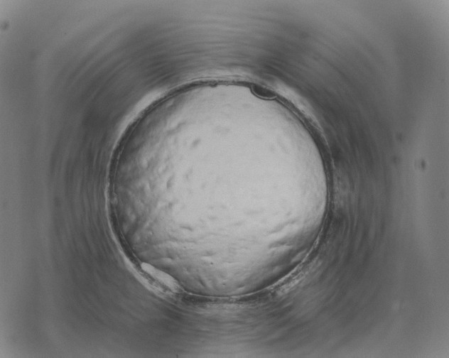 X0000074261237200609151753