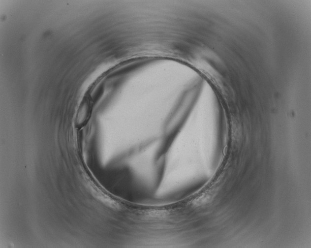 X0000074261238200609151753