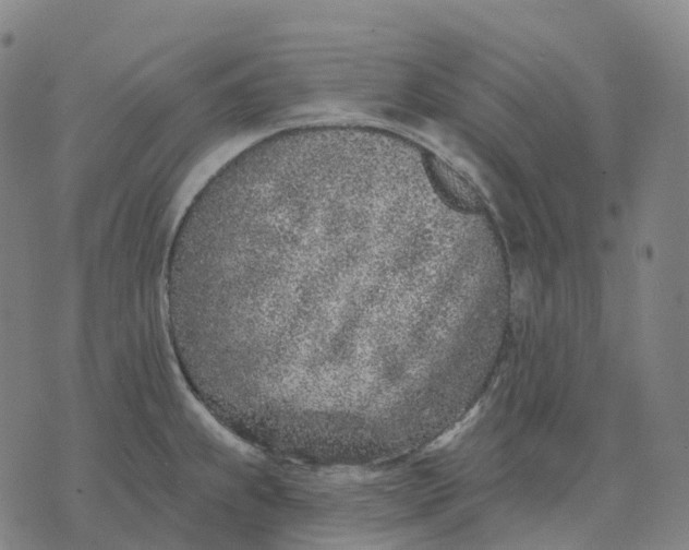 X0000074261239200609151753