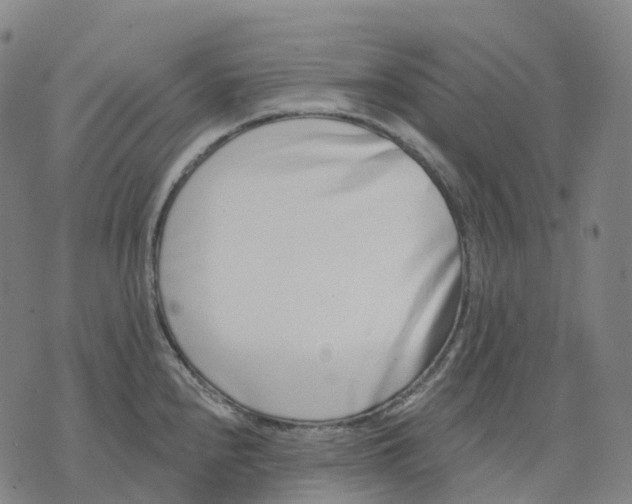 X0000074261240200609151753