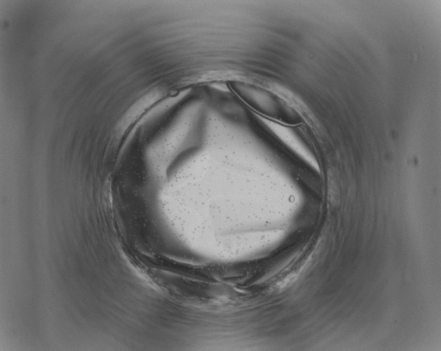 X0000074261241200609151753