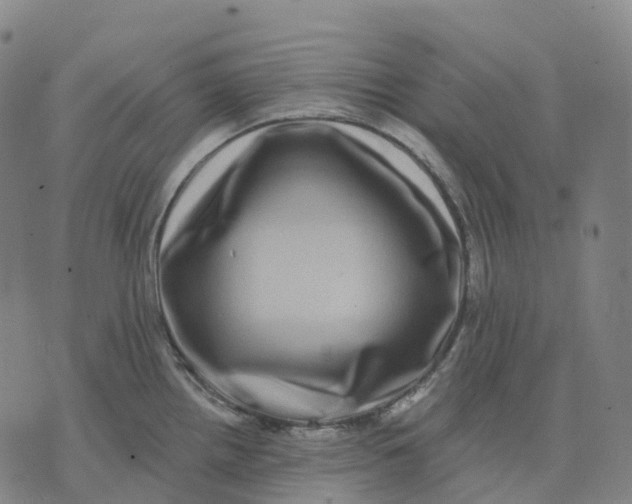 X0000074261242200609151753