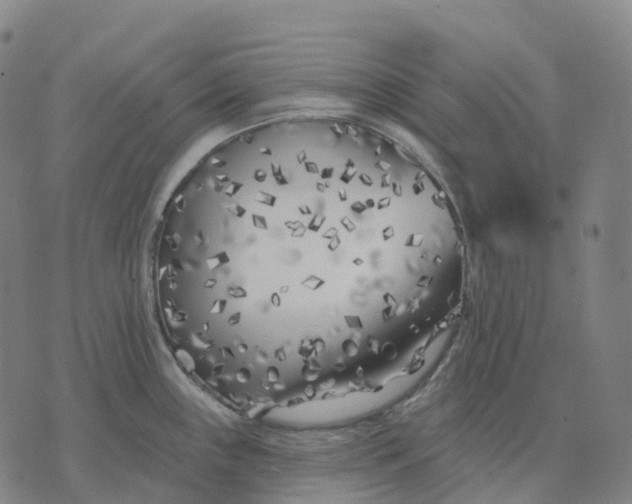 X0000074261243200609151753