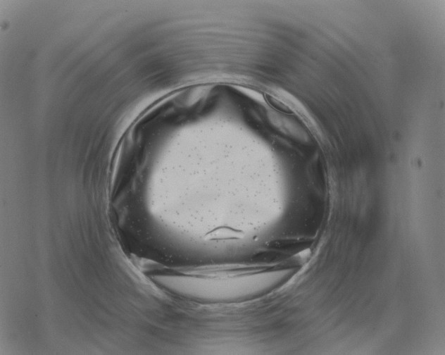 X0000074261244200609151753