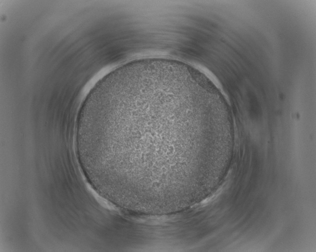 X0000074261245200609151753