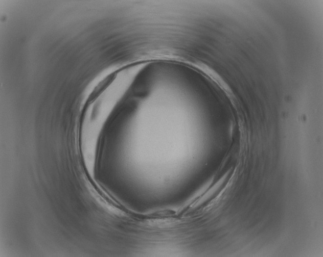 X0000074261246200609151753