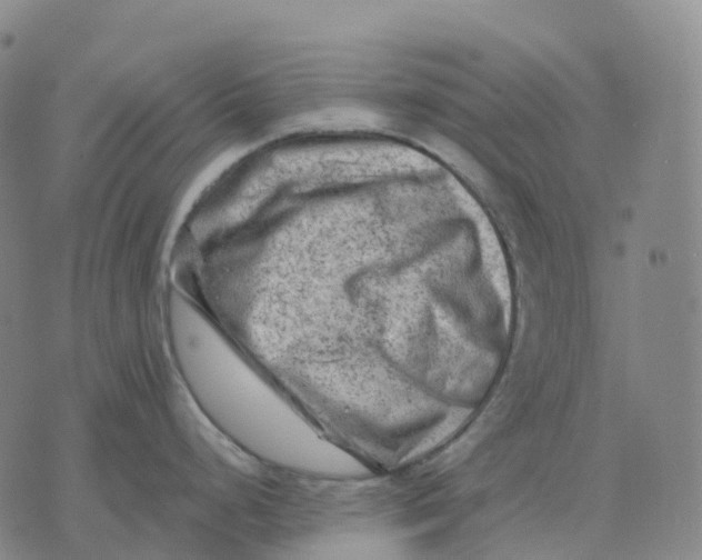 X0000074261248200609151753