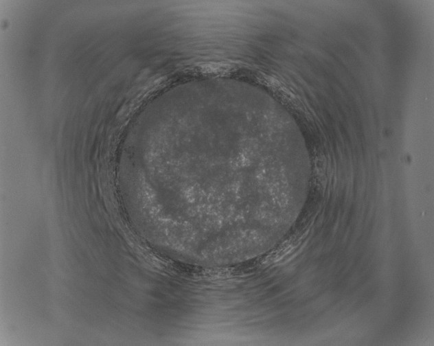 X0000074261249200609151753