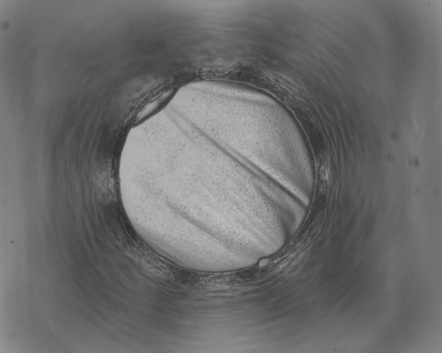 X0000074261252200609151752