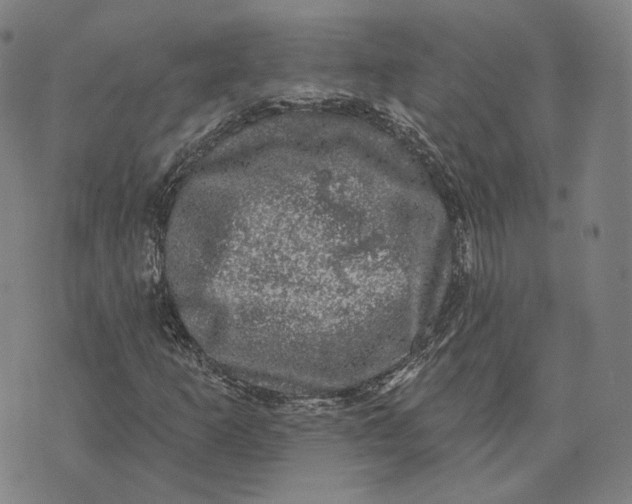 X0000074261253200609151752