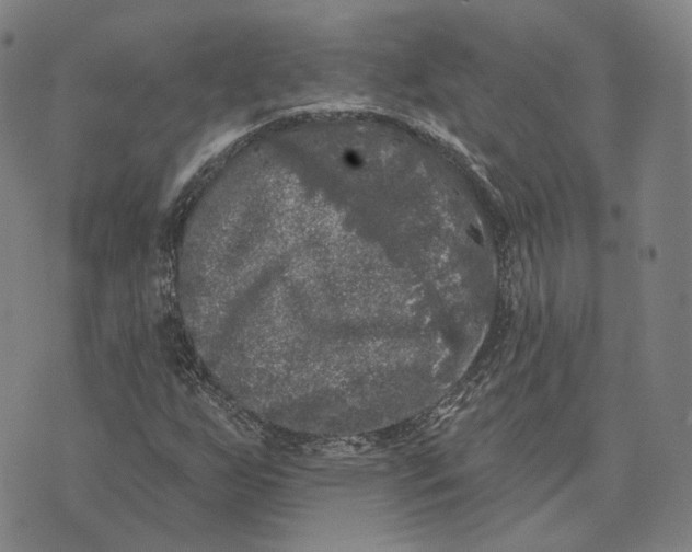 X0000074261255200609151752