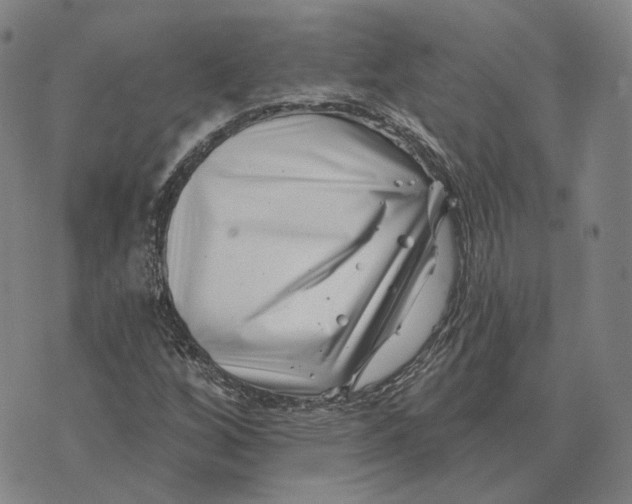 X0000074261256200609151752