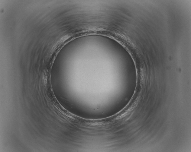 X0000074261257200609151752