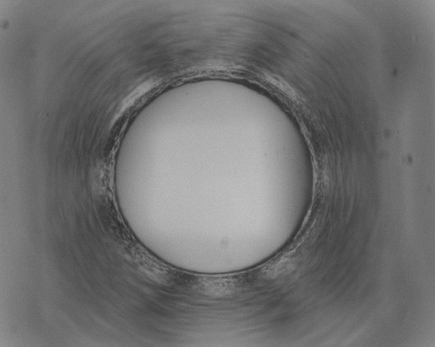 X0000074261258200609151752