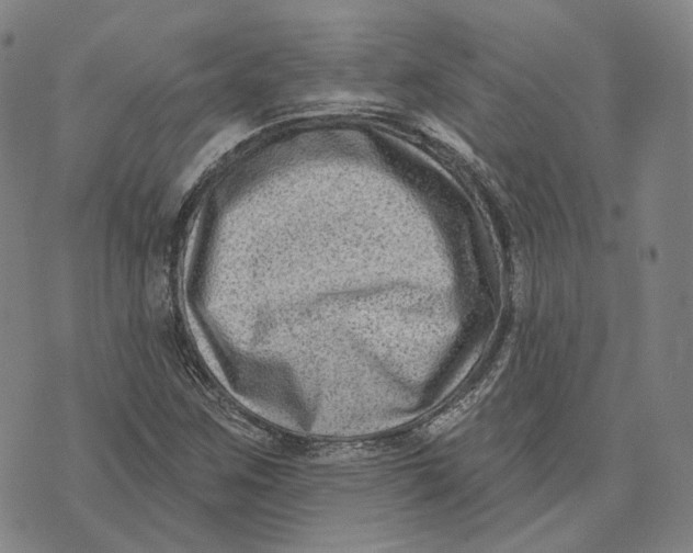 X0000074261259200609151752