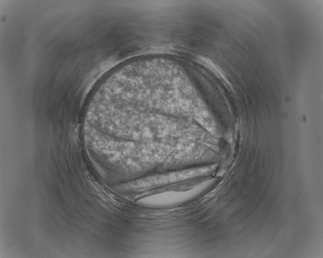 X0000074261260200609151752