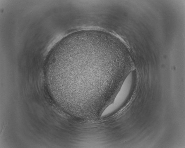 X0000074261263200609151752