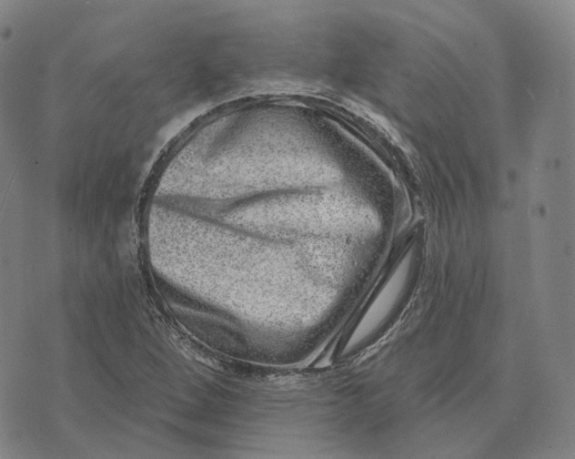 X0000074261264200609151752