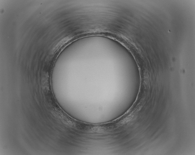 X0000074261265200609151752