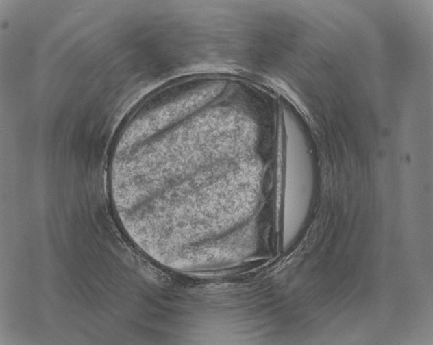 X0000074261268200609151752