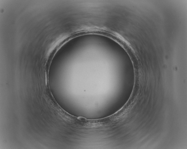 X0000074261269200609151752