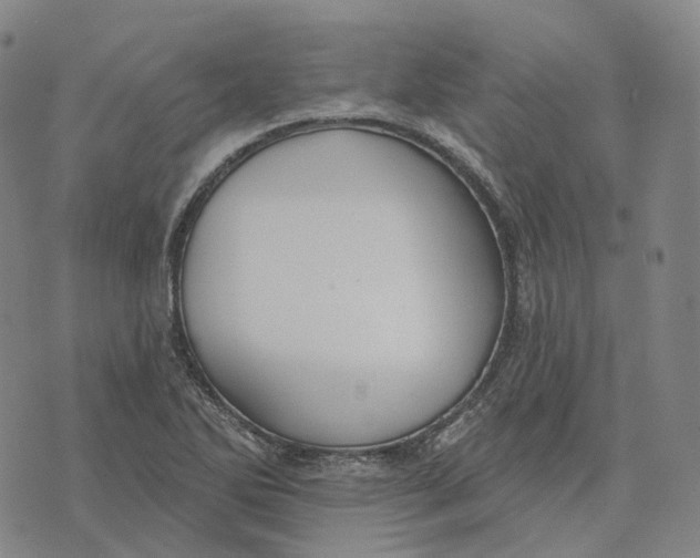 X0000074261270200609151752