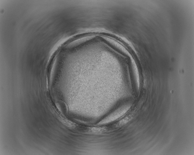 X0000074261271200609151752