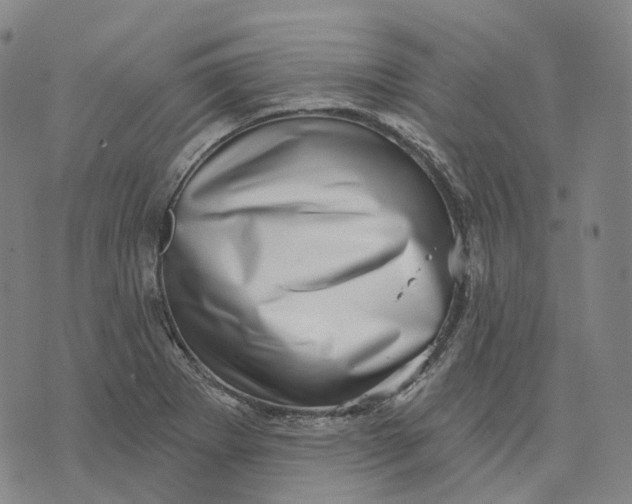 X0000074261273200609151752